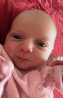 Daisy Bea Barbara Young